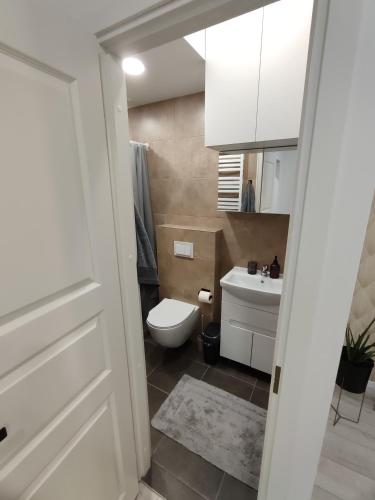 a bathroom with a toilet and a sink at UrbanHome Rokiškis in Rokiškis