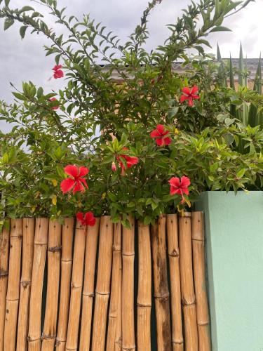 a planter with red flowers on top of a wooden fence at CASA da Baía by NaturAlegre in São Tomé