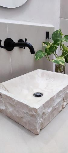 ein Steinwaschbecken auf einer Arbeitsplatte mit einer Pflanze in der Unterkunft Casa Eclipse in Cancún