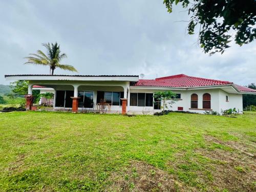 a white house with a palm tree in a field at Casa Las Brisas del Miravalles in Bagaces