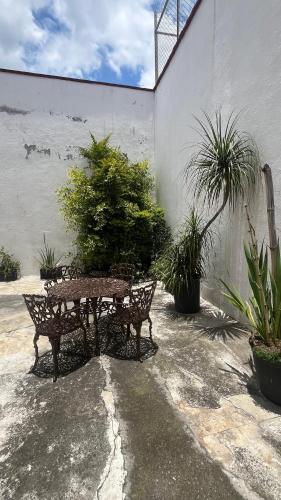 Puebla centro casa Peerzaにある庭