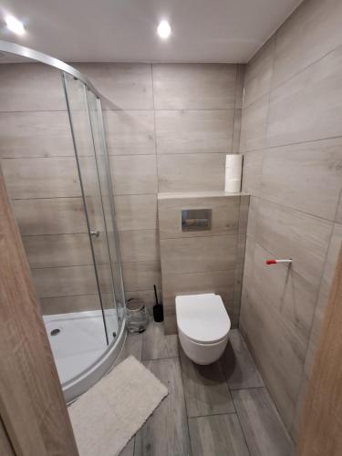 a small bathroom with a toilet and a shower at Pokoje Gościnne Kurza Zagroda 2 in Jelenia Góra