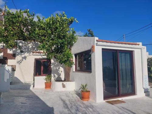 Imagen de la galería de Casa Venus, en Sabinosa