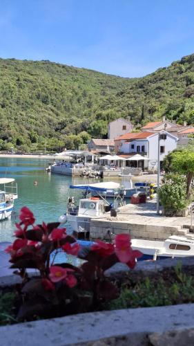 Guesthouse Pijerino