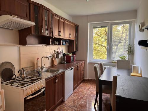 a kitchen with a sink and a stove top oven at Rose Valley in Bratislava