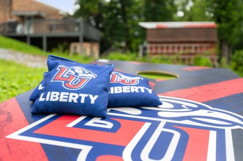 a couple of pillows sitting on top of a table at Liberty Lodge in Lynchburg