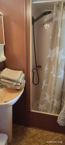 a shower with a shower curtain in a bathroom at Domaine le lanis la Taniére de Ambre in Saint-Girons