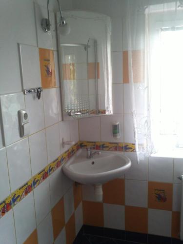 a bathroom with a sink and a mirror at Ubytování Velký Týnec 376 in Velký Týnec