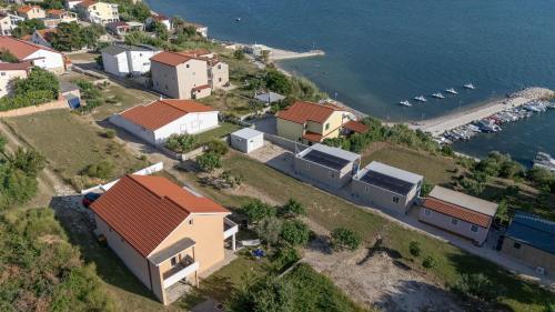 House Adriatic Blue Dream