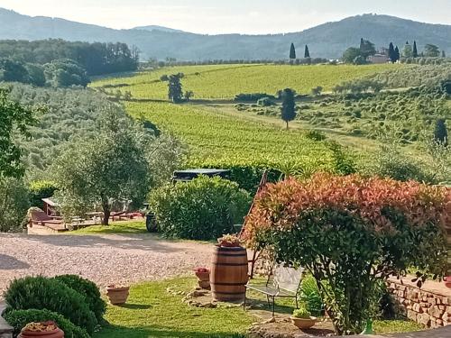 a view from the garden of a house with a view of a field at Agriturismo Circugnano in Grassina