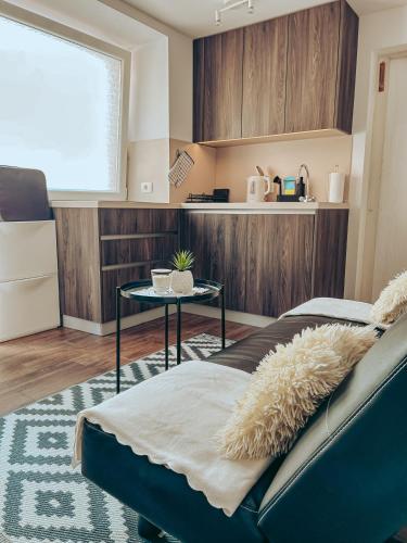 Η κουζίνα ή μικρή κουζίνα στο Apartments Ivanović