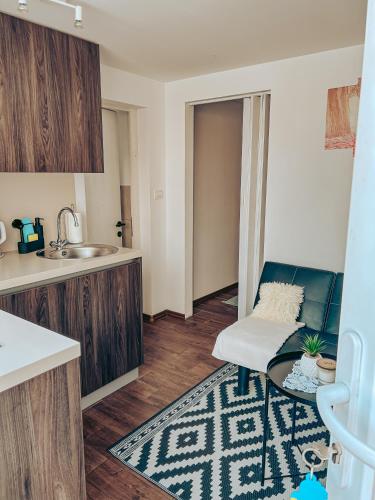 Η κουζίνα ή μικρή κουζίνα στο Apartments Ivanović
