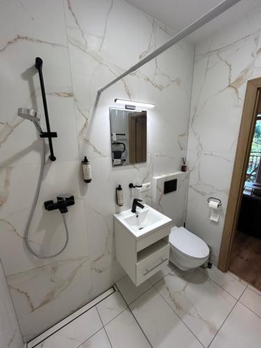 a bathroom with a toilet and a sink and a shower at 4 winds Zephyrus in Palanga