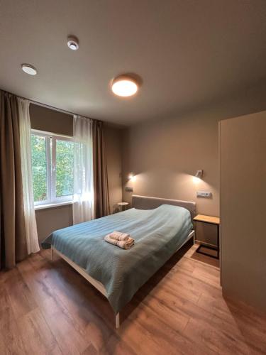 a bedroom with a bed and a window at 4 winds Zephyrus in Palanga
