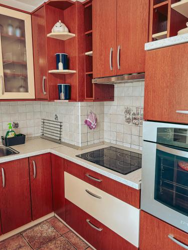 Η κουζίνα ή μικρή κουζίνα στο Apartments Ivanović
