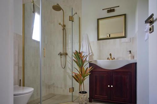 a bathroom with a shower and a sink and a toilet at Italian House Bieszczady in Bachlawa