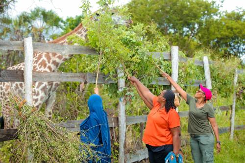 three women are looking at a giraffe behind a fence at Kiromo Zoo in Bagamoyo