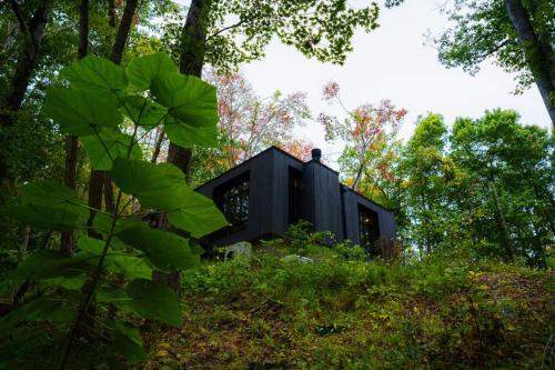 a black house in the middle of a forest at Idyll Reserve - Hocking Hills in South Bloomingville