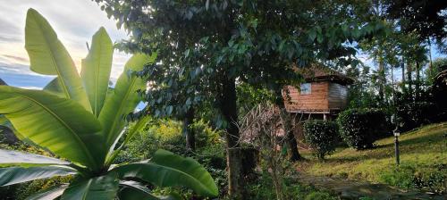 a small wooden house in the middle of a forest at Agandi Uganda Eco-lodges in Bwindi