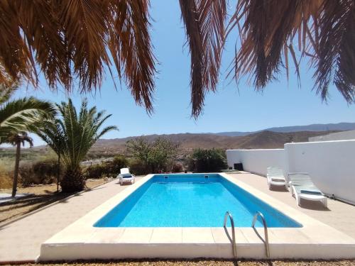 basen w willi z palmą w obiekcie La casita del desierto, cortijo para 7 personas con piscina privada w mieście Tabernas