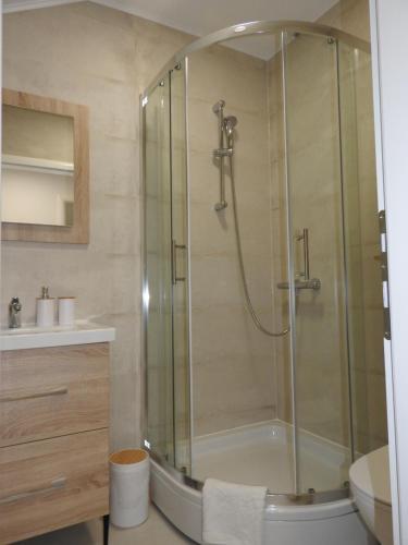 a bathroom with a shower and a toilet and a sink at Apartmani Kaić in Livno