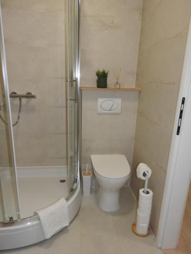 une petite salle de bain avec toilettes et douche dans l'établissement Apartmani Kaić, à Livno
