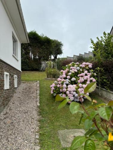 a bush of pink flowers next to a building at Maison de charme - porte de Fécamp in Saint-Léonard