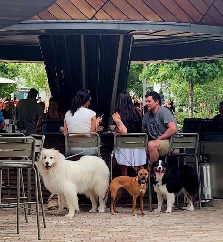 a group of people sitting in chairs with three dogs at Downtown Cary 1930s Bungalow - Great walkability in Cary