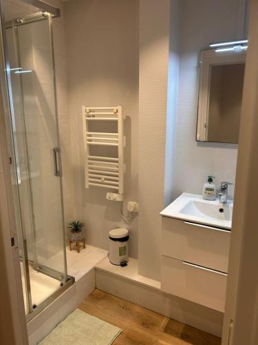 a bathroom with a shower and a sink at Spacious, bright 4 bedroom, 80 m2 in Hérouville-Saint-Clair