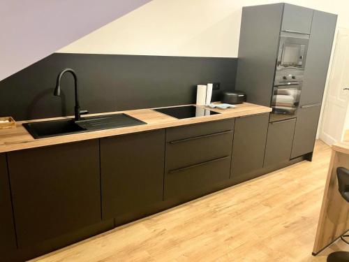 una cocina con fregadero y refrigerador en Crossborder Nest - Appartement de standing proche du circuit SPA-FRANCORCHAMPS et des HAUTES-FAGNES, en Verviers