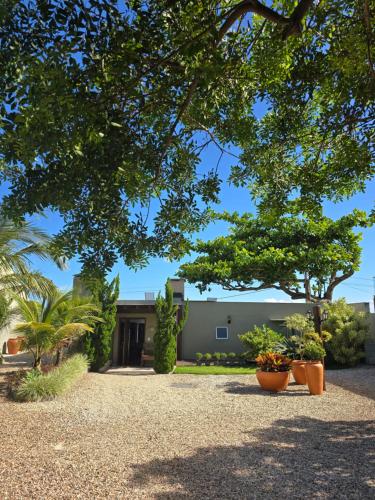 a house with some plants in front of it at Vila Alegria in Bombinhas