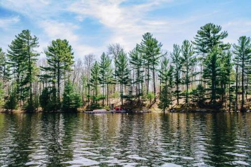 Blick auf einen See mit Bäumen im Hintergrund in der Unterkunft Lakeside Cottage On Muskoka Shores in Parry Sound