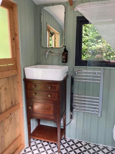 a bathroom with a sink and a mirror at The Orchard Hut in Redhill