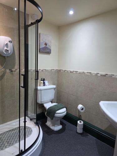 a bathroom with a shower and a toilet and a sink at Y Gwydyr Hotel - Dolwyddelan in Dolwyddelan