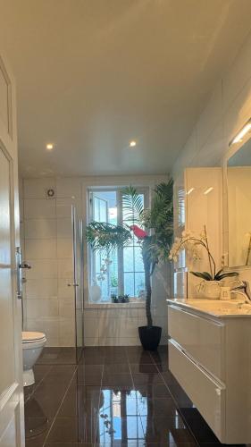 a bathroom with a sink and a toilet and a window at Tønsberg centrum in Tønsberg