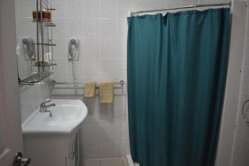a bathroom with a blue shower curtain and a sink at San Michele Adaminaby in Adaminaby