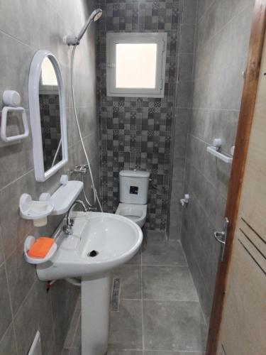 a bathroom with a sink and a toilet and a mirror at Appartement S1 Tulipe in Zarzis