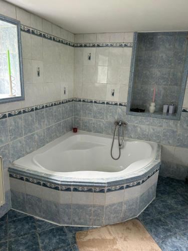 a large bath tub in a bathroom with a window at Mezi Stromy in Jindřichovice