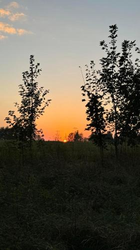 a sunset in a field with trees in the foreground at Mezi Stromy in Jindřichovice