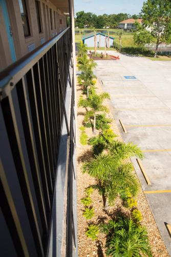 a row of plants on the side of a fence at Seasons Florida Resort in Kissimmee