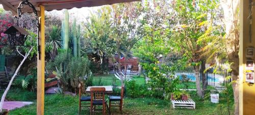 a patio with a table and chairs in a yard at HOTEL HALLEY - Vicuña, Valle de Elqui in Vicuña