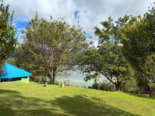 a group of people sitting on a grassy hill with trees at Cabañas Gachalá - Centro vacacional El jazmín in Gachalá