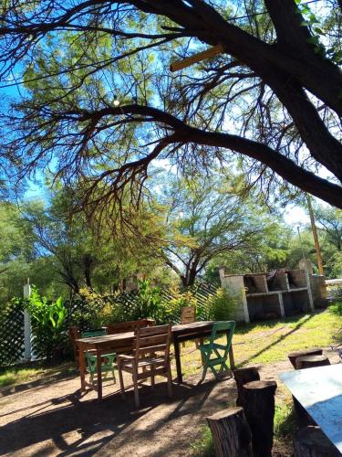 a picnic table and benches under a tree at Hospedaje Tidae in Tinogasta