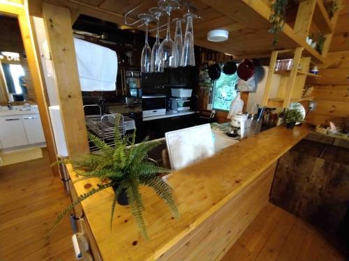 a kitchen with a wooden counter top with a plant at オーシャンヴィラ Breeze and Dog in Yokosuka