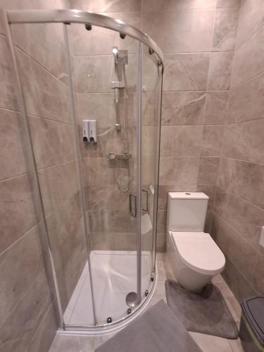 a bathroom with a shower and a toilet at Cosy Rooms in London