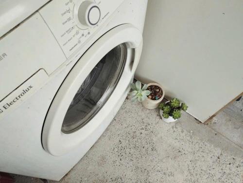 a washing machine with two plants in a room at Mer Bleue Homestay Phòng Family in Ke Ga