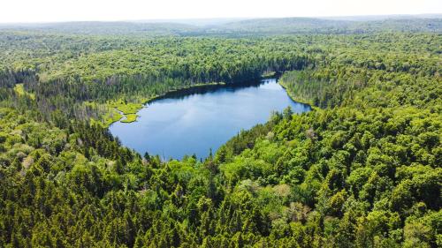 an aerial view of a lake in a forest at Lodge at Madawaska Ideal for Groups and hiking in Lake Saint Peter