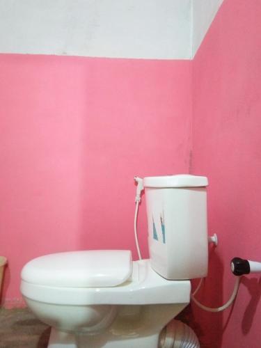 a bathroom with a pink wall and a toilet at Fr Resort in Arugam Bay
