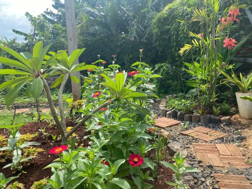 a garden with red flowers and green plants at Căn hộ cho 2-3 gia đình in Buôn Dhă Prŏng