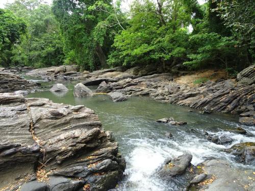 a river with rocks and trees in the background at Exciting Tree house and 2 Chalets, Spring valley farm stay Buttala, Okkampitiya 